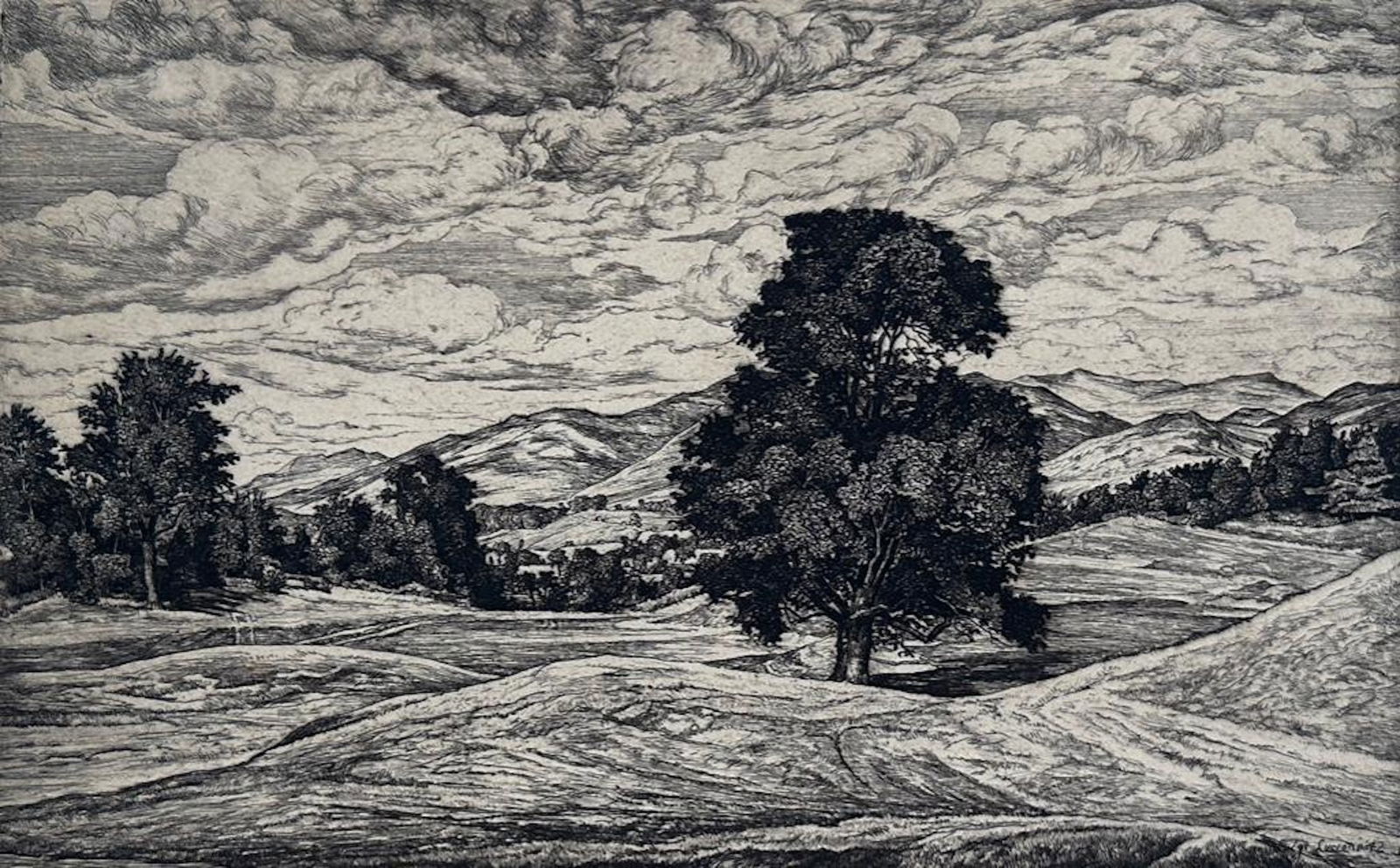 Luigi Lucioni Etching, "Tree in Fairway" (1 of 6)