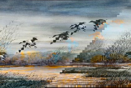 Edward Frak Watercolor "Pintails Coming In"