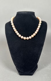 Fresh Water Pearl Necklace