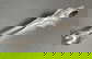 item-190398932=11