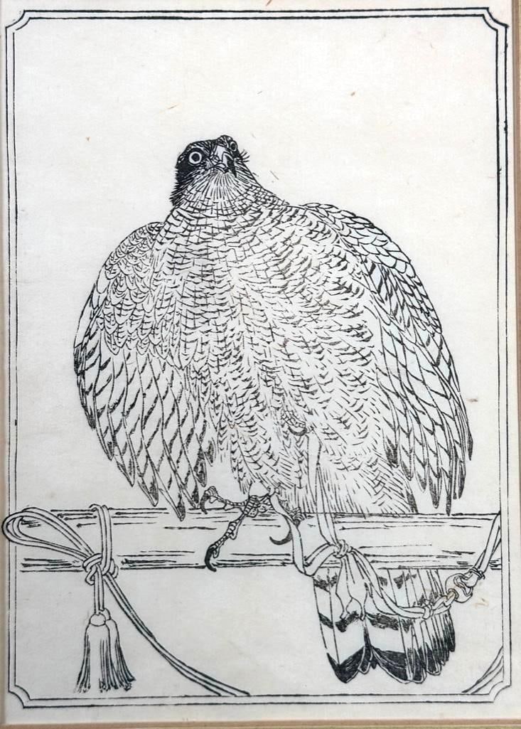 Kawanabe Kyosai (1831-1889) Woodblock Print of Hawk c. 1890 (1 of 6)