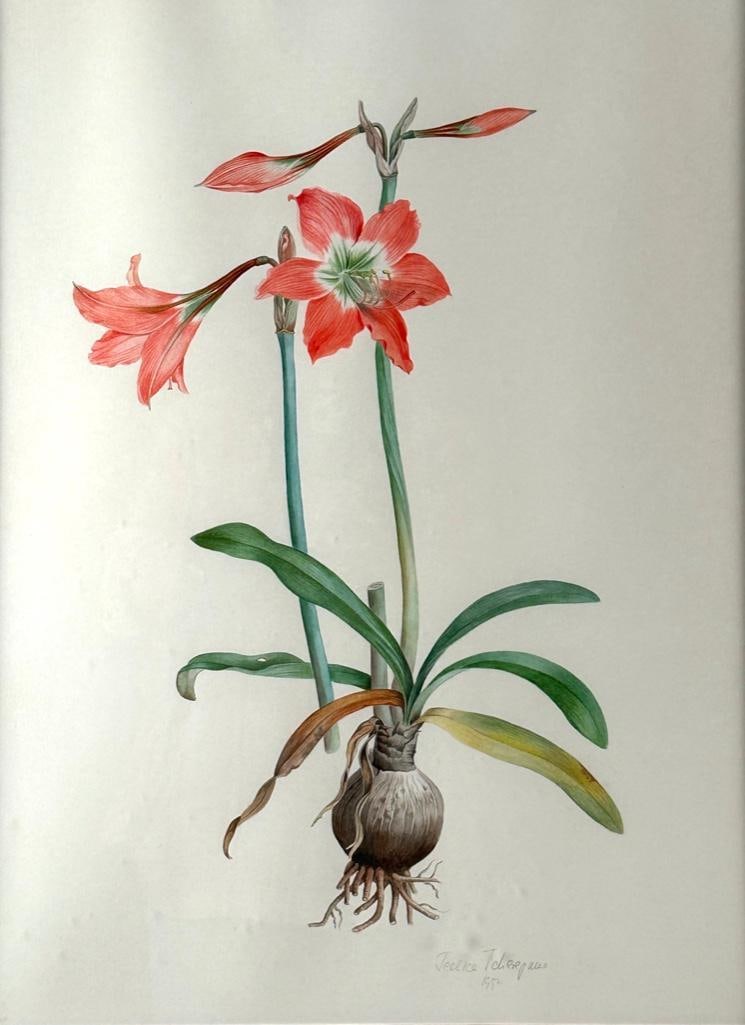 Jessica Tcherepnine Botanical Watercolor, "Barbados Lily" (1 of 11)