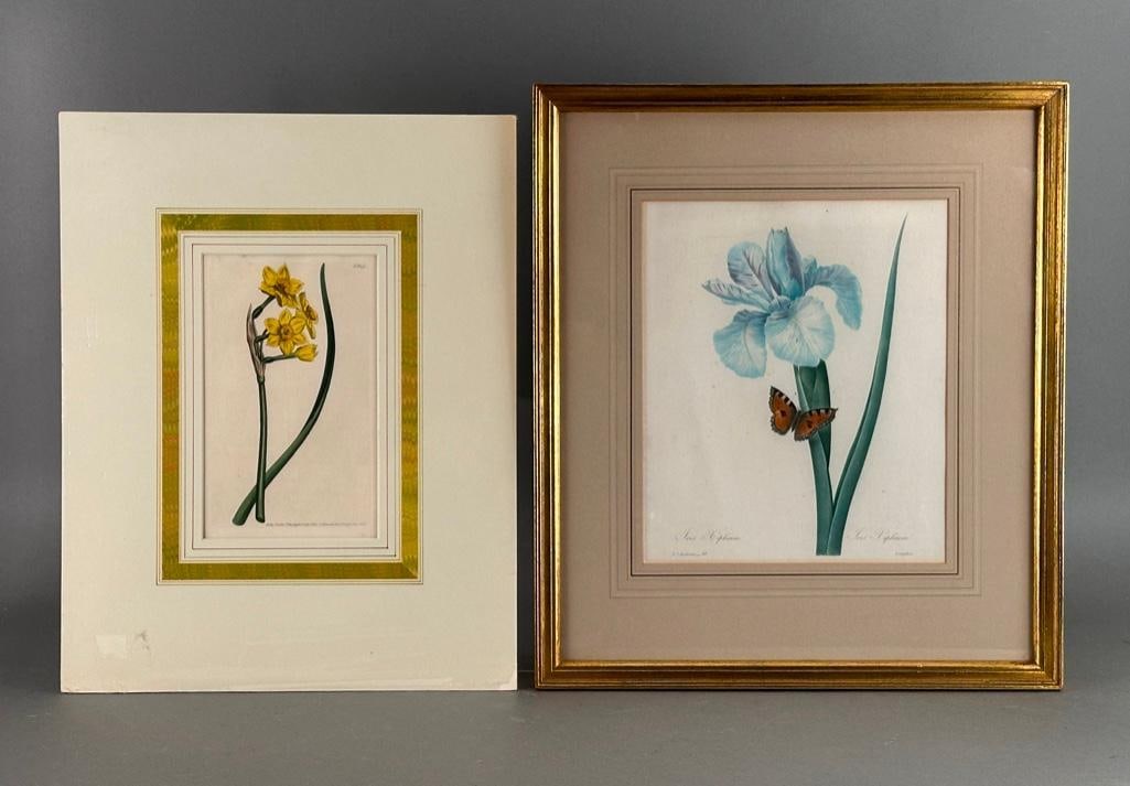 Two Handcolored Botanicals, Redoute and Curtis (1 of 16)