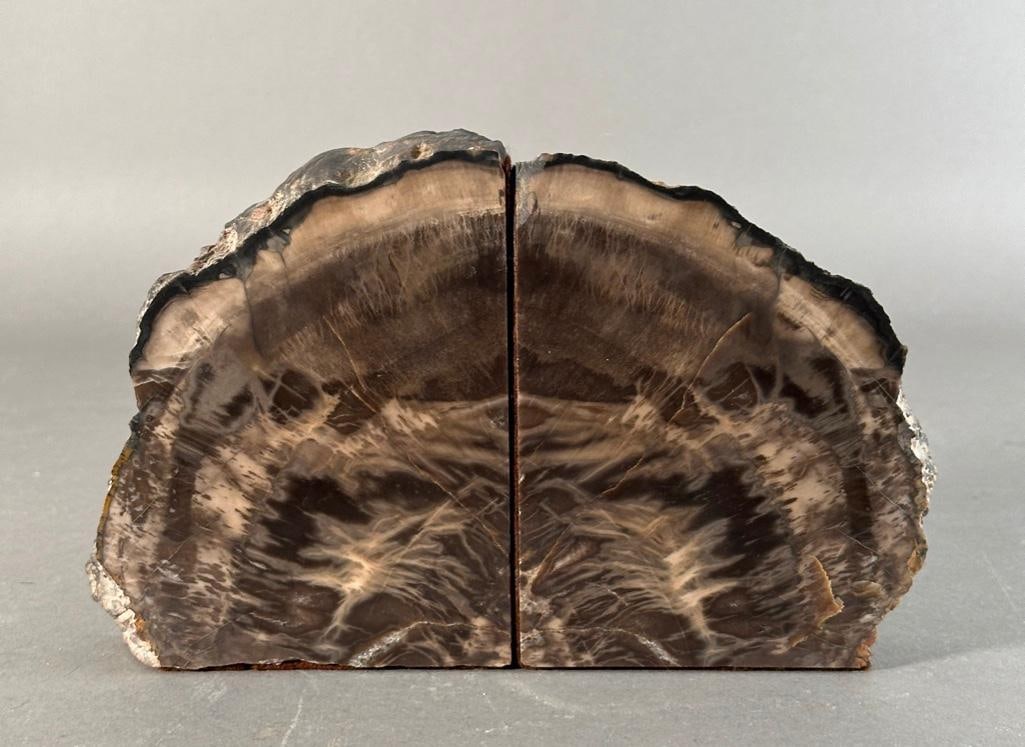 Arizona Petrified Wood Bookends, 160 million years old (1 of 7)