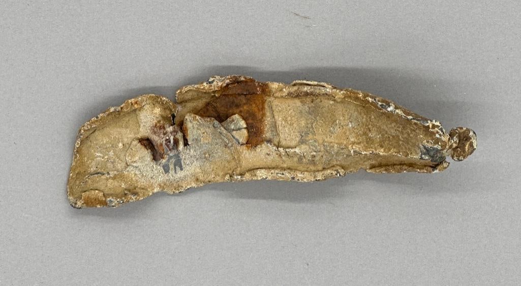 Vicksburg Civil War Shell Fragment (1 of 3)