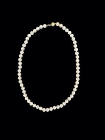Pearl Necklace with 14K Gold Clasp