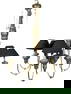 Currey and Company Silvered Eight Light Chandelier