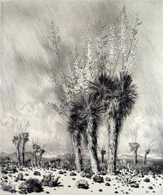 George Elbert Burr Etching, " Springtime, Paradise Valley, Arizona"