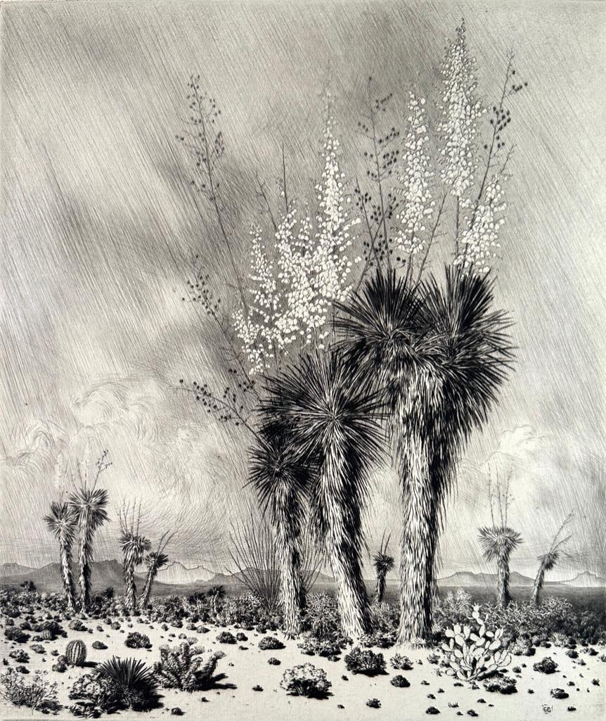 George Elbert Burr Etching, " Springtime, Paradise Valley, Arizona" (1 of 8)