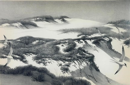 Stow Wengenroth Lithograph, Provincetown Dunes