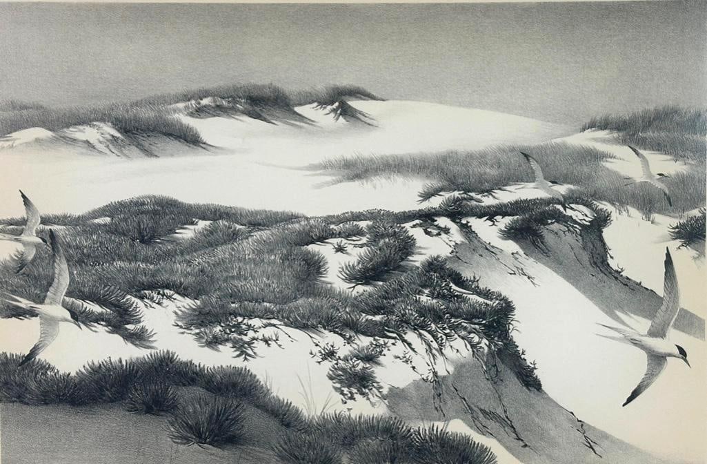 Stow Wengenroth Lithograph, Provincetown Dunes (1 of 7)