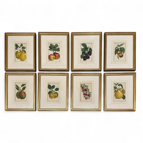 Eight Chromolithographs of Fruit, Pannemaeker & Fils