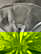 item-209058215=8