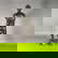 item-210498969=5
