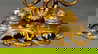 item-210499021=6