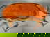 item-210499029=6
