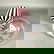 item-210499033=4