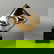 item-210499088=1