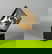 item-210499088=2