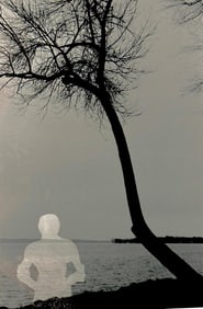 Rita Montlack Photograph, "Untitled (Tree with Silhouette)"