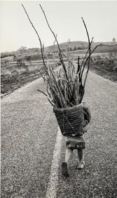 Scott Sill Photograph, Young Girl Carrying Foraged Wood