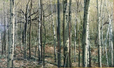 Charles Pitcher Oil, Pennsylvania Aspens