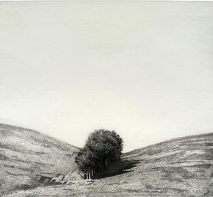 Woody Gwyn Aquatint, "Grove"