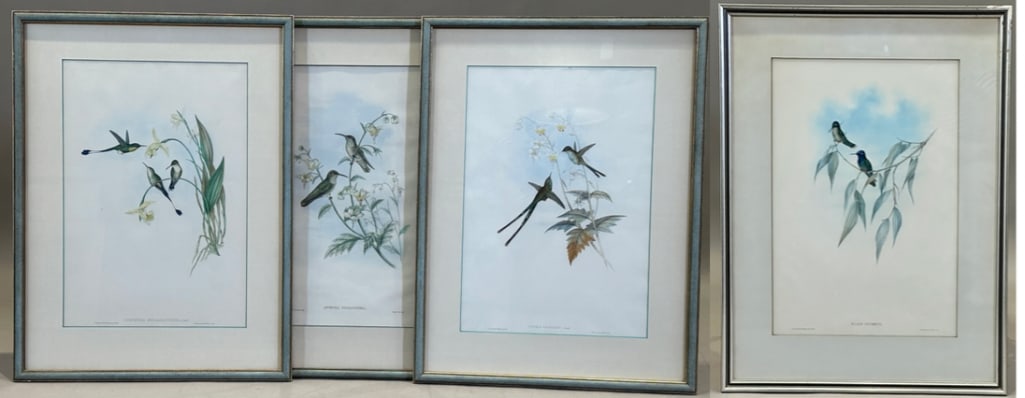 John Gould and Henry C. Richter, Four Handcolored Lithographs, Hummingbirds: John Gould (British 1804-1881) and Henry C. Richter (British 1821-1902) Four Hand Colored Lithographs of Hummingbird species: "Klais Guimeti," "Spathura Melananthera," "Lesbia Gracilis," and Agyrtria