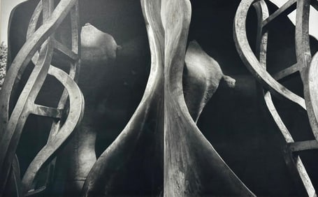 Marianne Kreiss Photograph, "Impromptu No. 1"