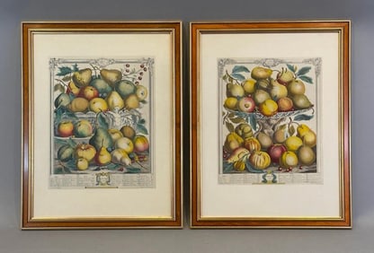 Two Framed Botanical Fruit Prints, Apples, Robert Furber