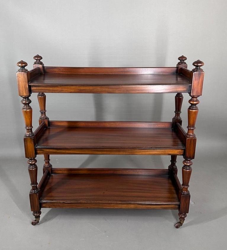 English Regency Style Mahogany Server (1 of 6)