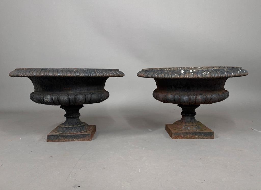 Pair of Antique Cast Iron Planters: Pair of Antique Cast Iron Planters, shallow urn forms with gadrooned rims on pedestal base and squared foot. Dimensions: 15 in.,h. x 22.5 in. dia. Condition: Original painted finish rusted from age an