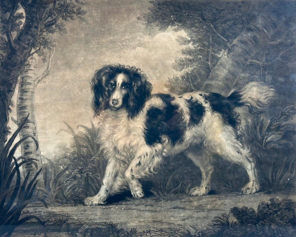 S.W. Reynolds after J. Northcote, "The Sportsman's Dog" (1 of 7)