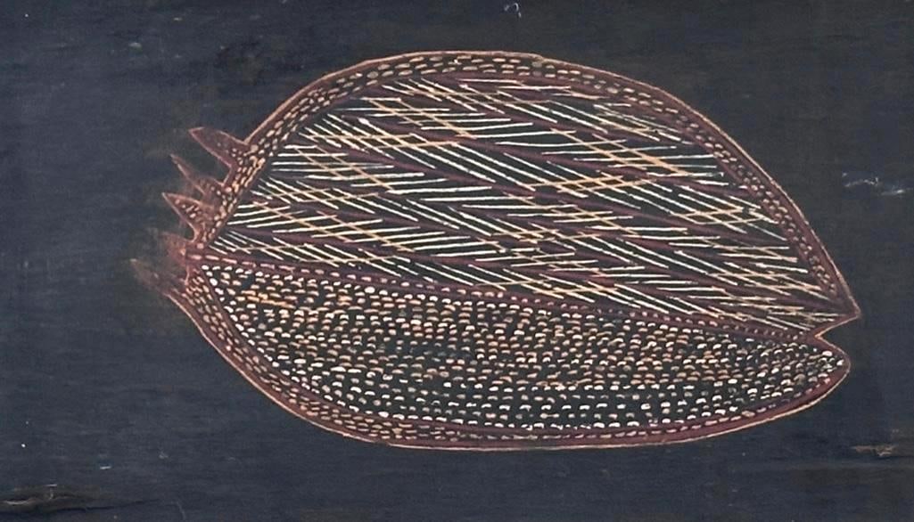 Aboriginal Painting on Bark, Fish: Aboriginal Painting on Bark, Fish, or Bailer Shell, artist unknown, framed in acrylic shadowbox frame. Dimensions: 10.5 x 19 in. image size, 17 x 24.75 x 2.5 in. as framed. Condition: Some spits and