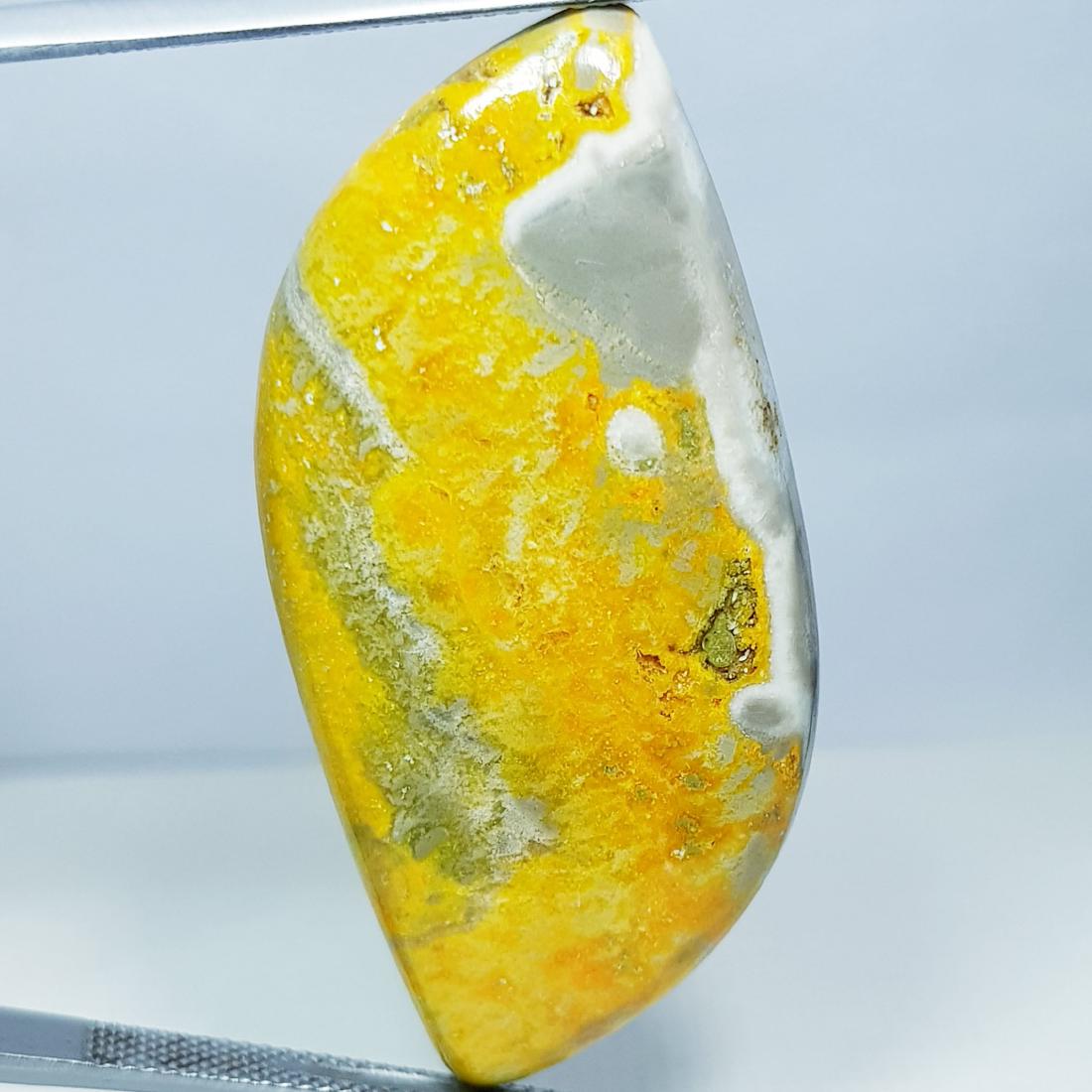 34.75 ct Natural Bumble Bee Jasper (1 of 6)