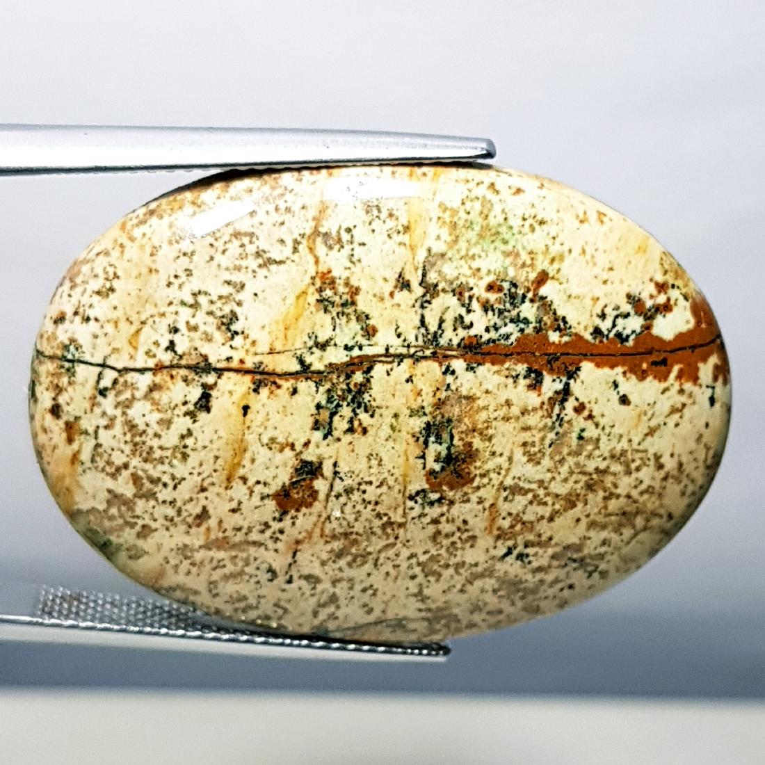 36.70 ct Natural Thunder Agate (1 of 6)