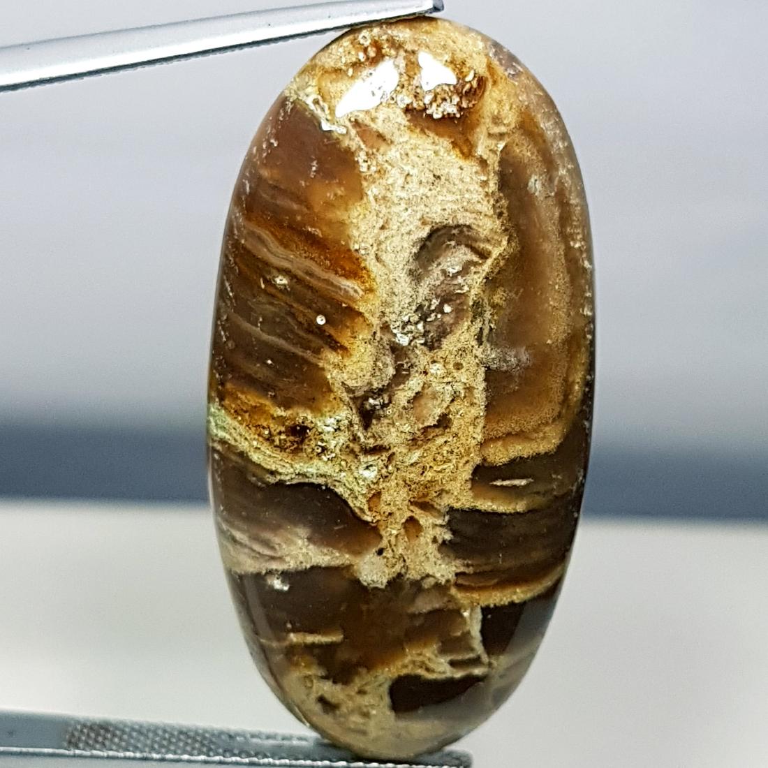 35.55 ct Natural Thunder Agate (1 of 6)