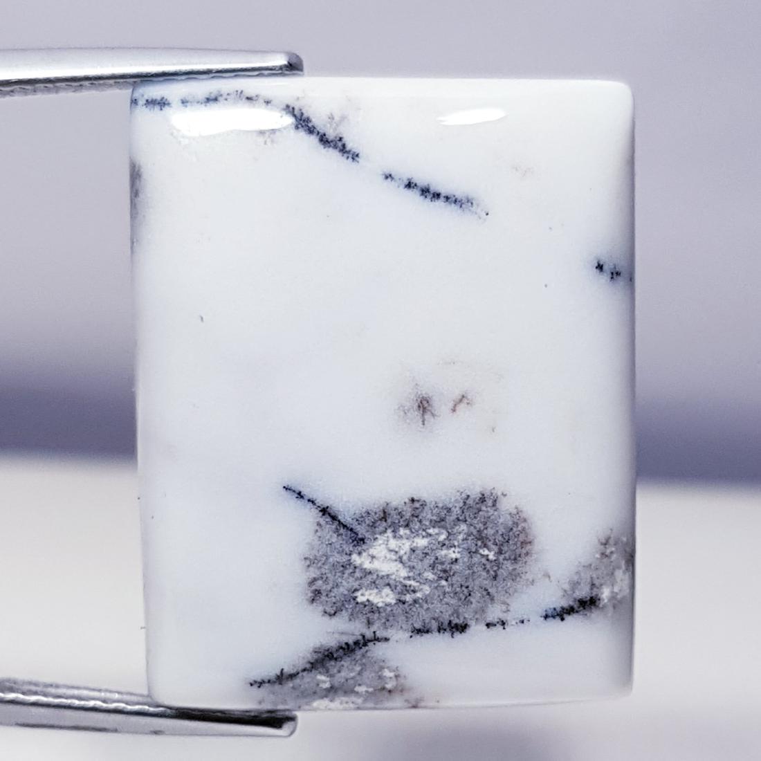 28.20 ct Natural Dendrite Opal (1 of 6)