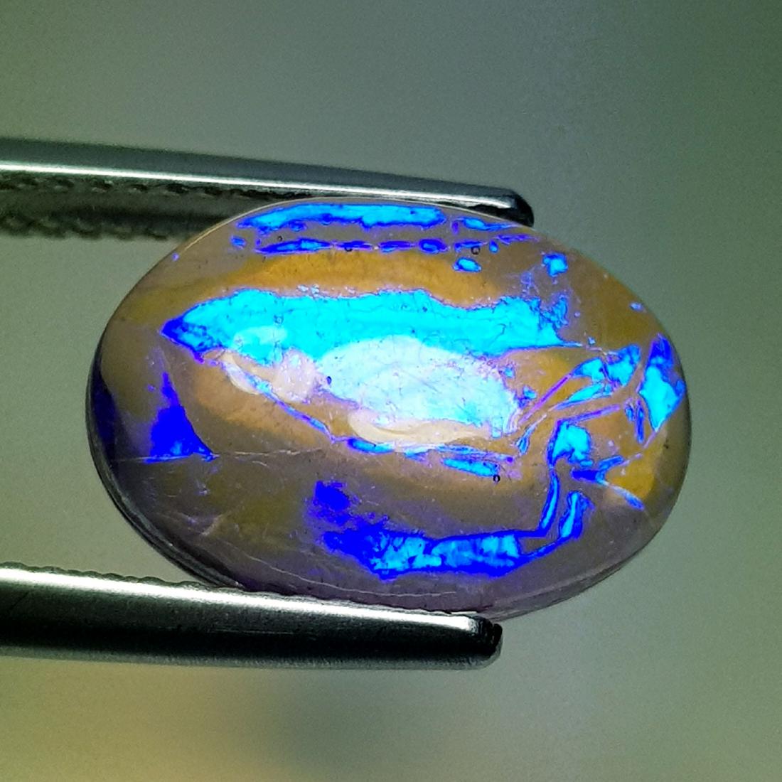 5.40 ct Australian Doublet Opal: Oval - Australia