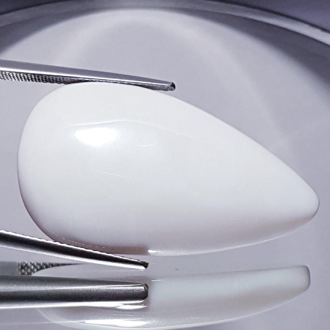 36.45 ct Opal - Coted (1 of 6)