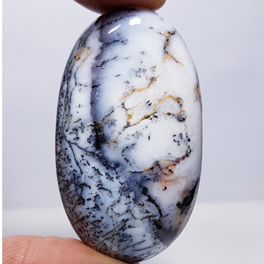 49.60 ct Natural Dendrite Opal (1 of 6)