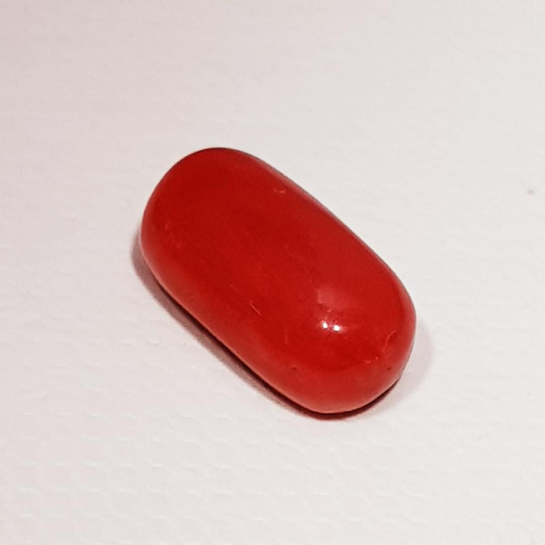 3.30 ct Natural Italian Coral: Rectangular Cabochon - Italy