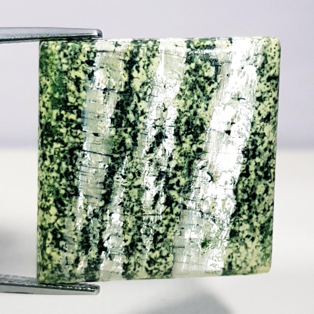 30.60 ct Natural Green Suzi Opal (1 of 6)