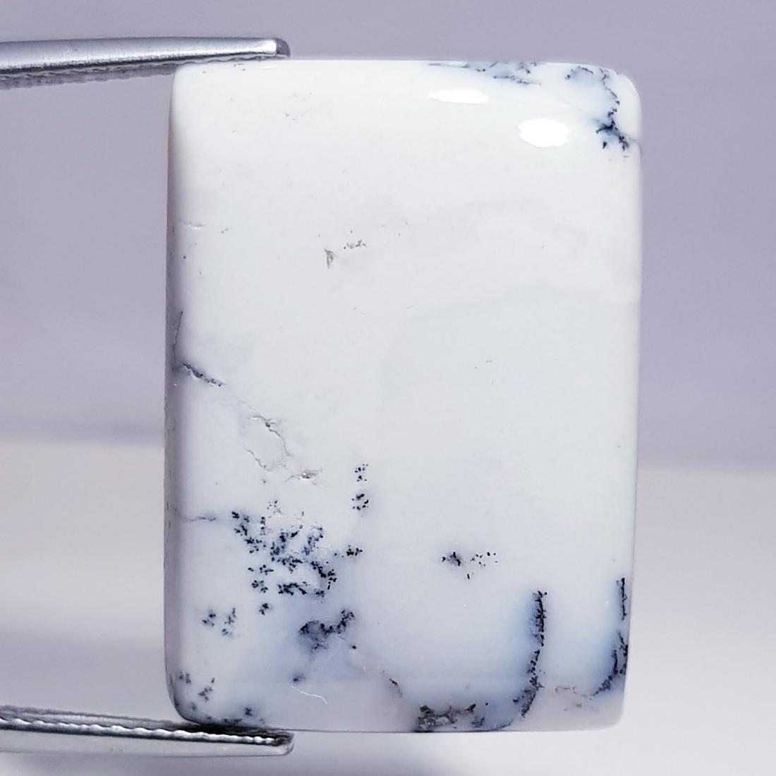 30.40 ct Natural Dendrite Opal (1 of 6)