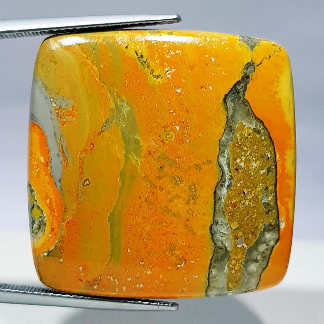 48.15 ct Natural Bumble Bee Jasper (1 of 5)