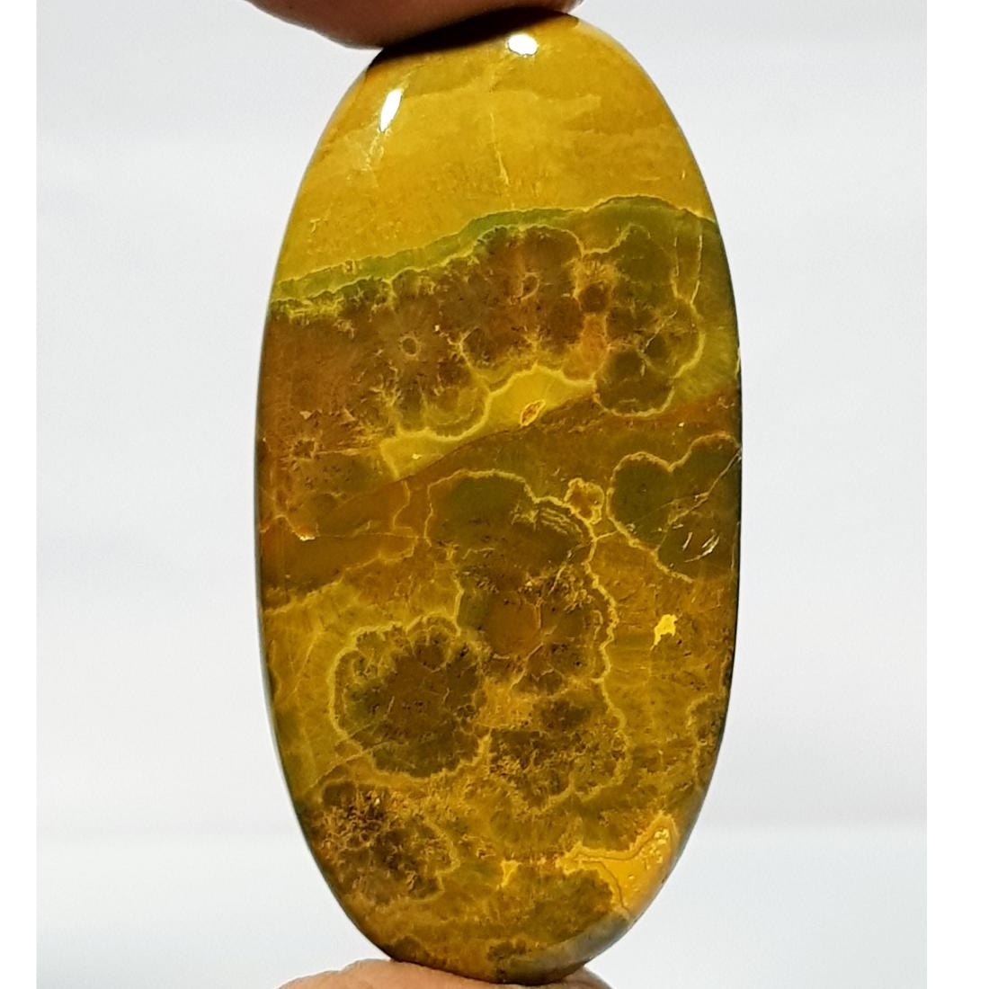 48.65 ct Natural Ocean Jasper (1 of 6)