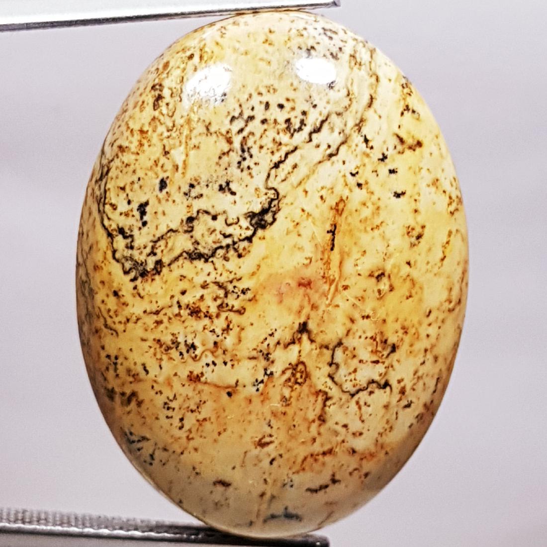 40.90 ct  Natural Aragonite (1 of 6)