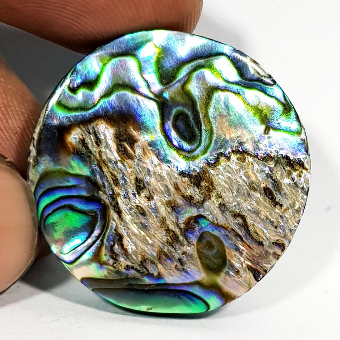 34.45 ct  Australian Abalon (1 of 6)