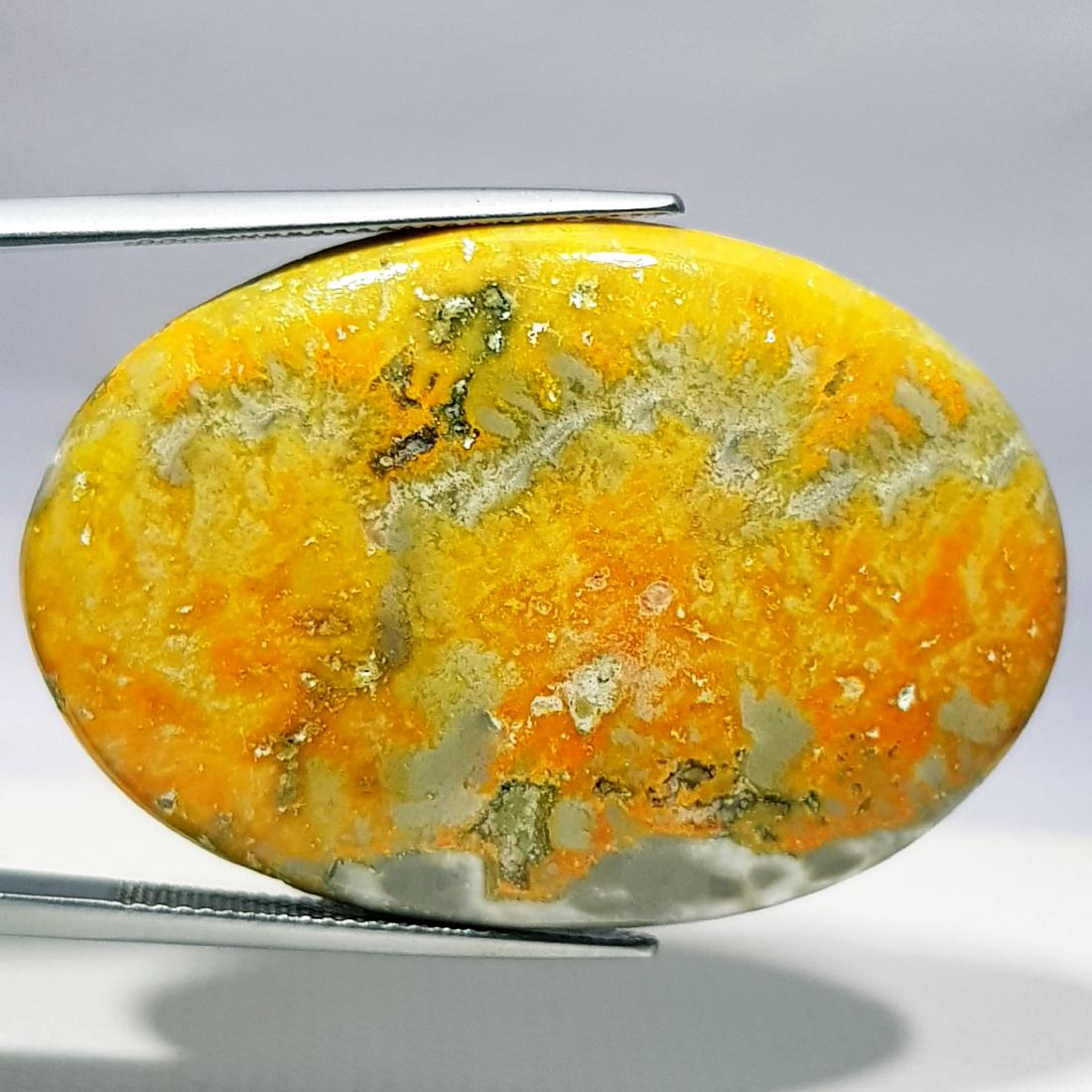 44.40  ct Natural Bumble Bee Jasper (1 of 6)