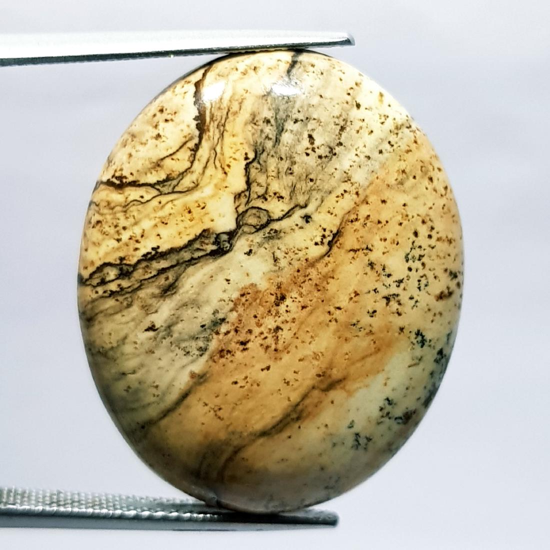 32.15 ct Natural Picture Jasper (1 of 6)